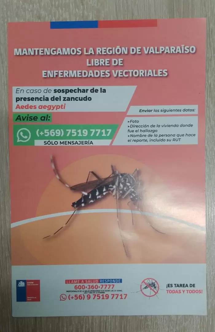 chile