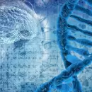 Cient�ficos descubren c�mo modificar ADN humano con una innovadora t�cnica gen�tica