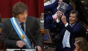 javier milei facundo manes