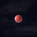 Desde Mendoza se ver� una "Luna de sangre� despu�s de 3 a�os �Cu�ndo ocurrir�?