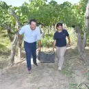 Actividades vendimiales: Garc�a Zalazar particip� en una cosecha junto a estudiantes