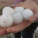 (Video) El drama de los productores del este provincial frente al granizo devastador