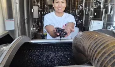 vitivinicultura
