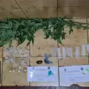 Desarticularon puntos de venta de drogas en San Carlos, Tupungato y San Mart�n