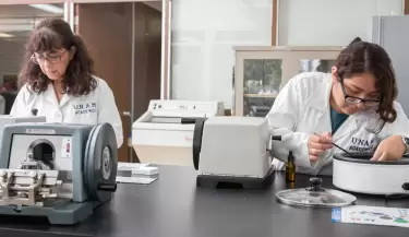 Mujeres en �reas STEM