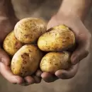 Hubo un fuerte aumento en los precios de frutas y verduras en Mendoza