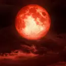 Un espect�culo �nico iluminar� el cielo argentino en marzo
