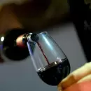 La Ciudad de Mendoza celebra la Noche de las Viner�as: degustaciones y un show imperdible