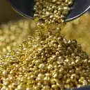 El electrodom�stico com�n que podr�a valer una fortuna por su contenido en oro