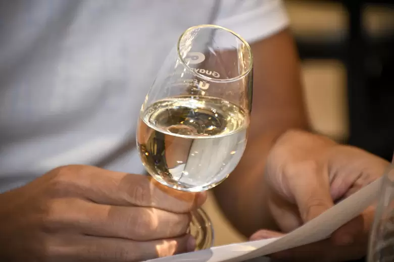 degustaciones vinos