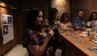 vinos bodega