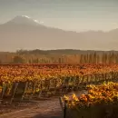 Oto�o son cosas que invent� el amor: el himno de una estaci�n en Mendoza