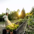 Huerto en Casa: cultiv� tus propios alimentos frescos y saludables