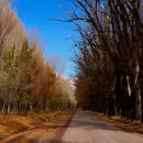 Pron�stico: as� estar� el tiempo este viernes y el fin de semana en Mendoza