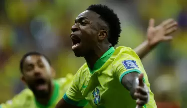 brasil vinicius