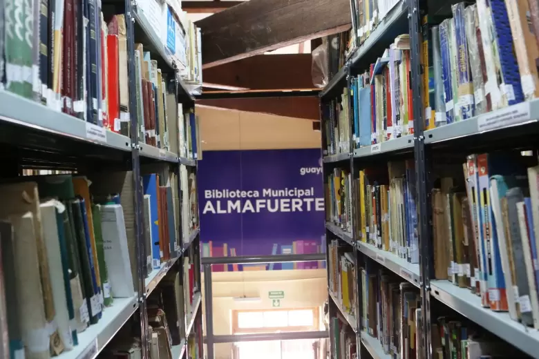 biblioteca almafuerte