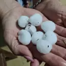 (Video) Comenz� el temporal en Mendoza: reportan ca�da de granizo en el Valle de Uco y otras zonas de la provincia