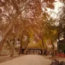 Temperaturas elevadas: no ser� lo mismo el oto�o en Mendoza