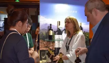 bodegas