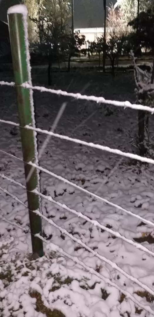 La primera nevada del a�o en Malarg�e