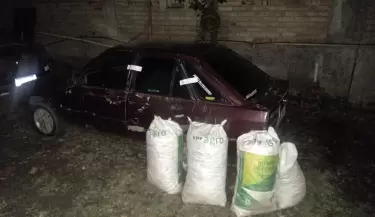 Detenidos en Tupungato con una importante cantidad de nueces robadas