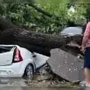Un violento temporal de lluvia y viento afect� a C�rdoba y Santa Fe