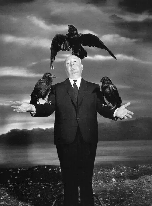 los pajaros, hitchcock