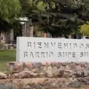 Consternación en un barrio de Godoy Cruz por el brutal ataque a un perro que fue apuñalado