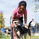 Durante todo abril, los vecinos de la Ciudad de Mendoza podrán acceder a servicios veterinarios gratuitos: en qué zonas