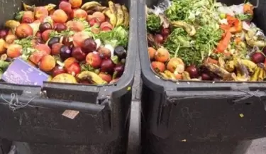 alimentos-basura-desperdicios-comida