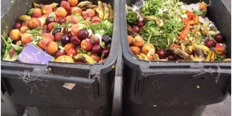 alimentos-basura-desperdicios-comida