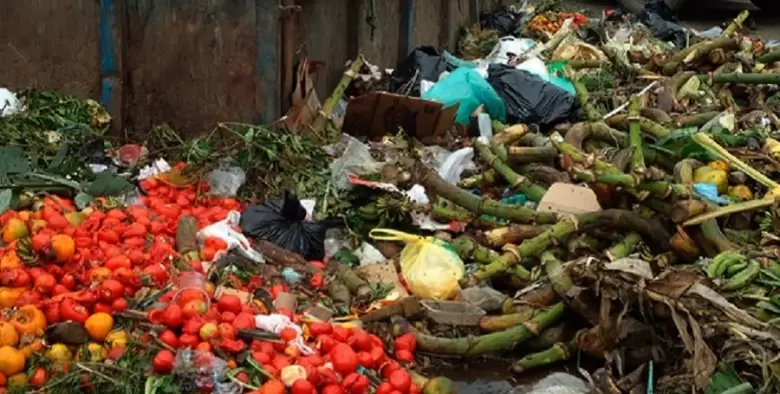 uso_comida_basura