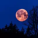 La NASA aceler� la carrera espacial: va por una base permanente en la Luna
