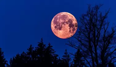 luna rosa