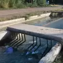 Aguas Mendocinas volcar� efluentes al Canal Pescara para arreglar una cloaca colapsada