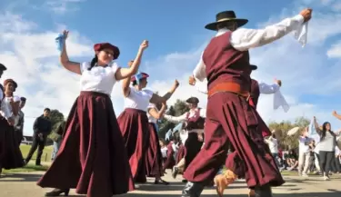zamba
