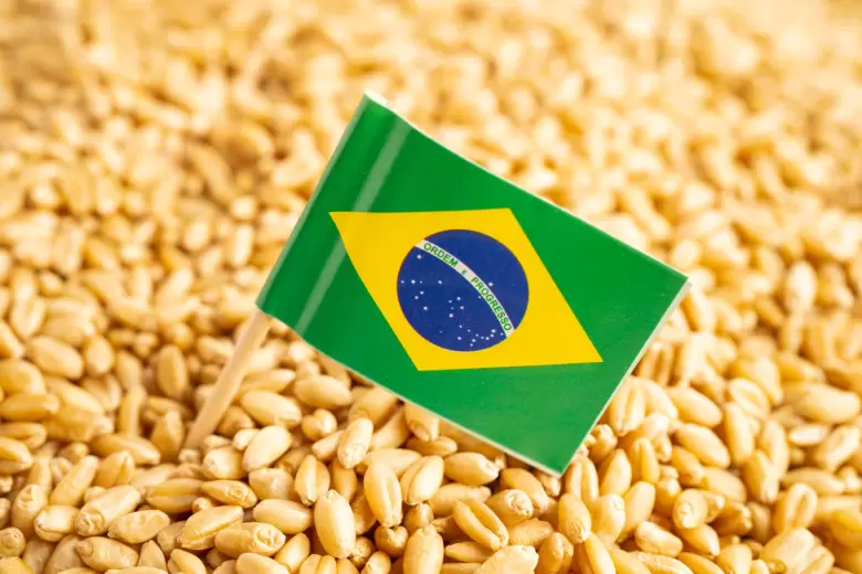 importaciones brasil