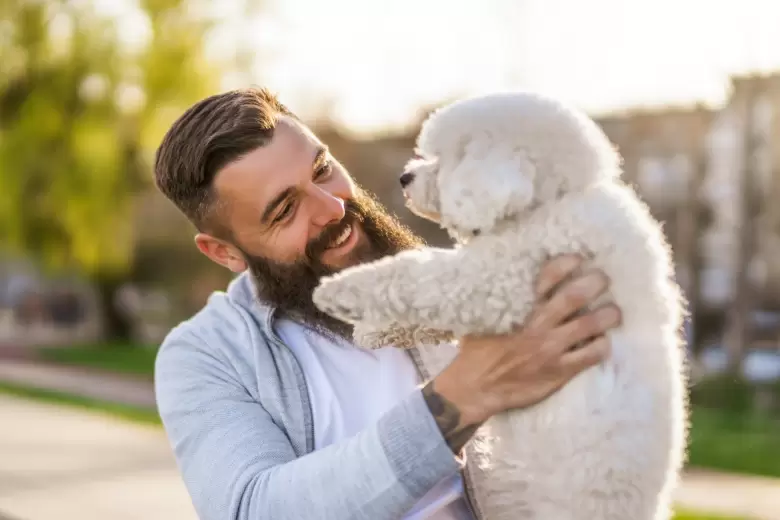 perros due�os
