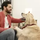 Por qu� los perros se parecen a sus due�os, seg�n la ciencia