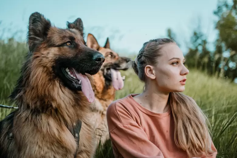 perros due�os