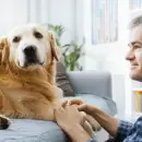 ¿Está mal tratar a las mascotas como si fueran hijos? Expertos alertan sobre los riesgos para su salud emocional