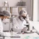 Hito en Argentina: desarrollaron piel humana en laboratorio para curar heridas graves