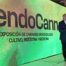 El fuerte respaldo del Gobierno al desarrollo de la industria del cannabis en Mendoza