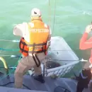 El tortugo Jorge volvi� al oc�ano, tras 38 a�os de cautiverio en Mendoza y Mar del Plata