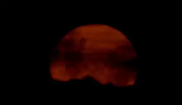 luna rosa
