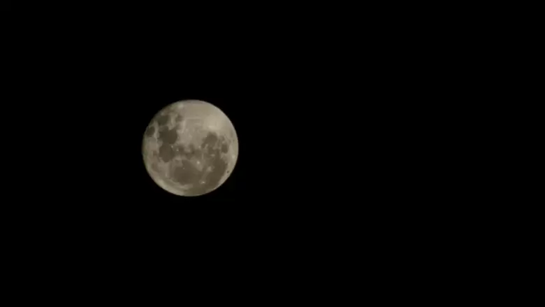 luna rosa