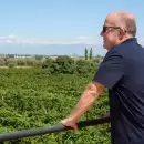Dolor en el Este: falleci� Carlos Crotta, referente del vino y el deporte