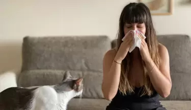 alergia gato