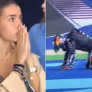 (Video) Milagro en el Moto GP: as� fue el impactante accidente que sufri� Jorge Mart�n