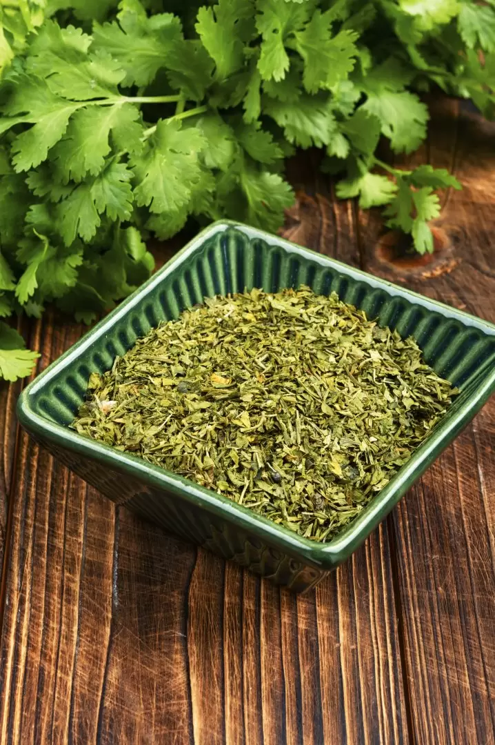 cilantro